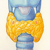 Diagnosis-and-Investigation-of-Hypothyroidism